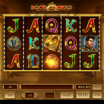 WildTornado - Book of Dead Slot Game - Play'n GO Pokie