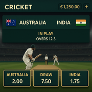 WildTornado - Cricket Betting - Cricket Sports Betting