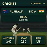 WildTornado - Cricket Betting - Cricket Sports Betting